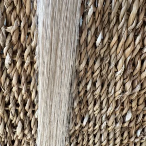 Beige Blonde