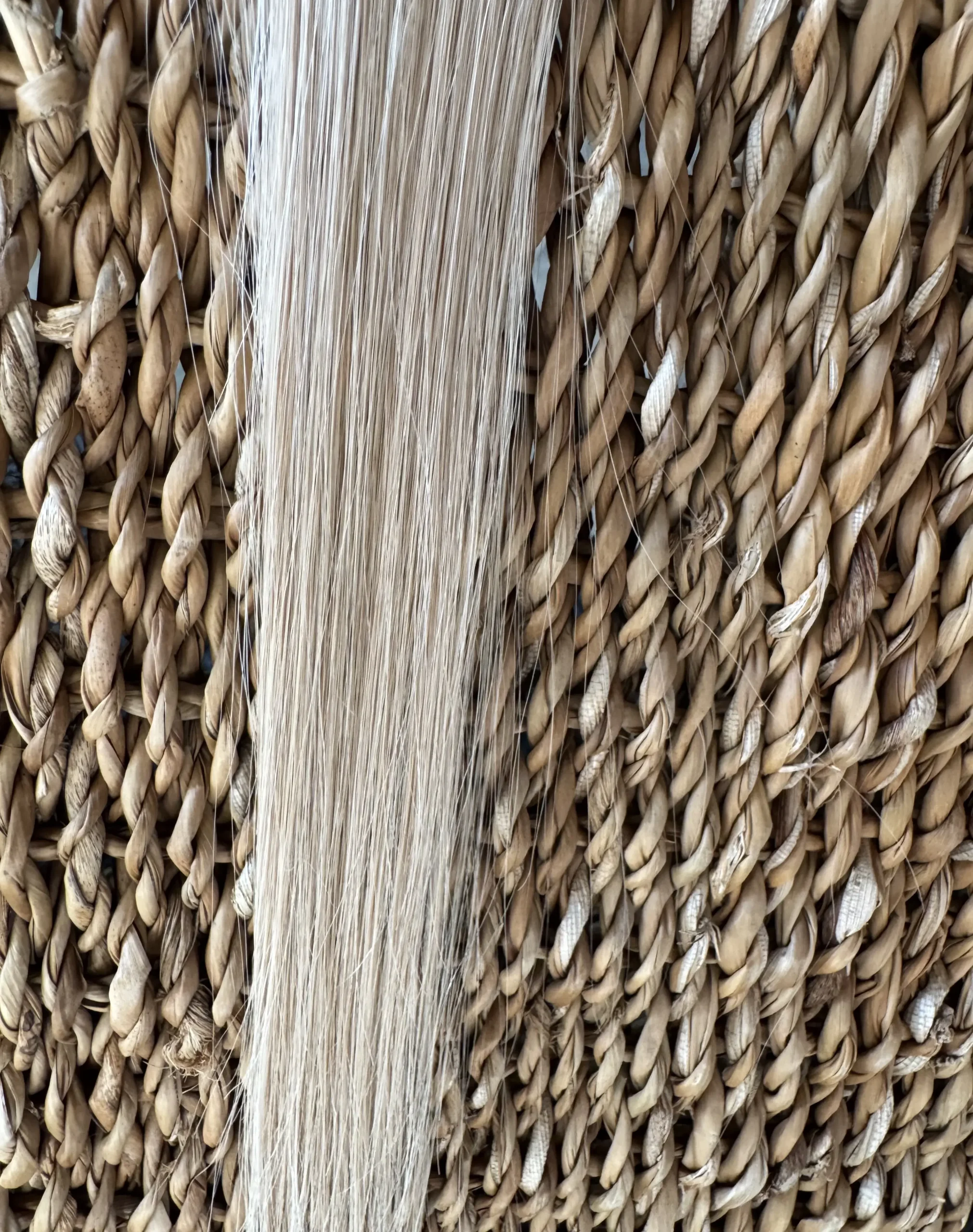Beige Blonde
