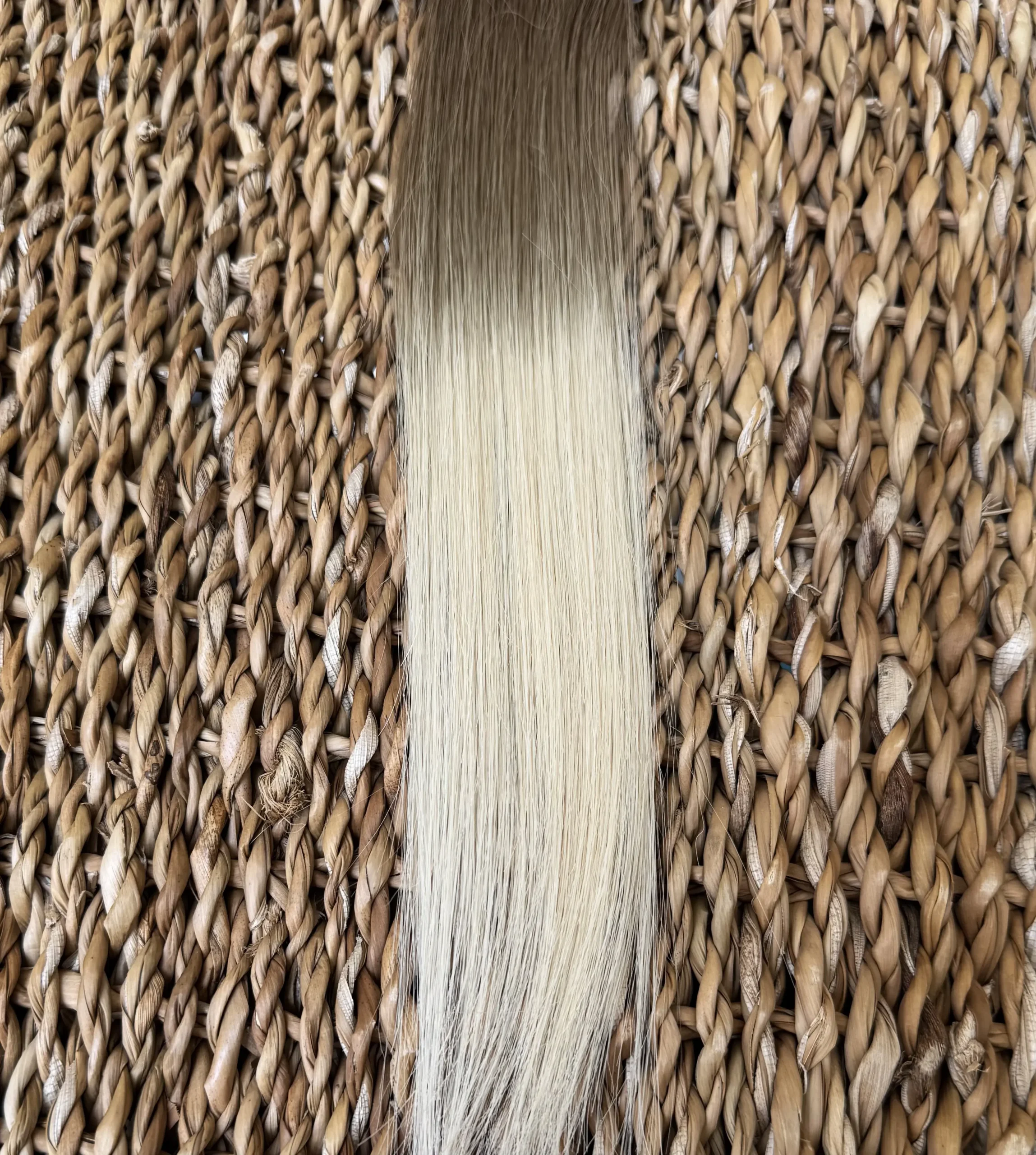 Natural Rooted Blonde