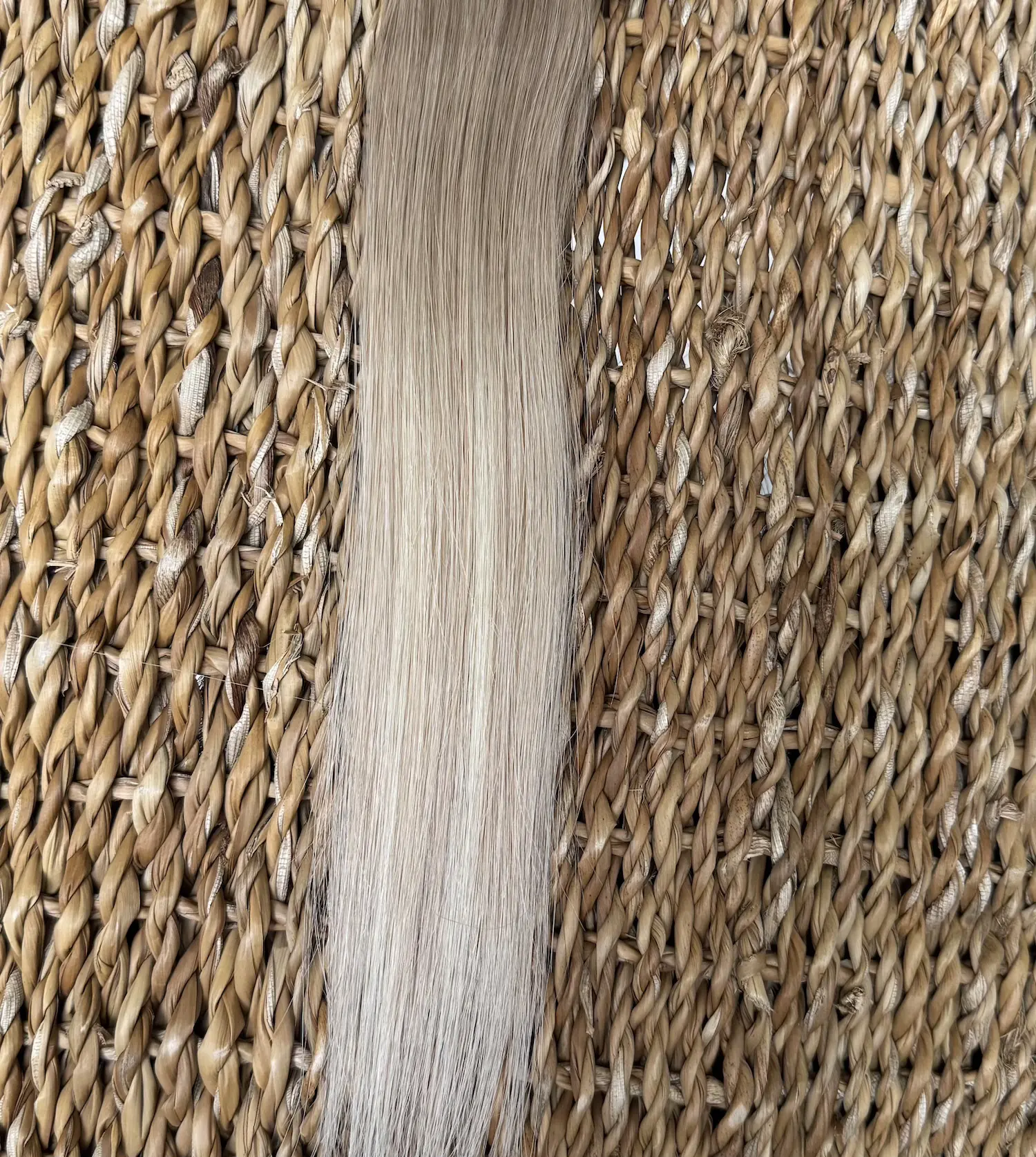 Rooted Beige Blonde