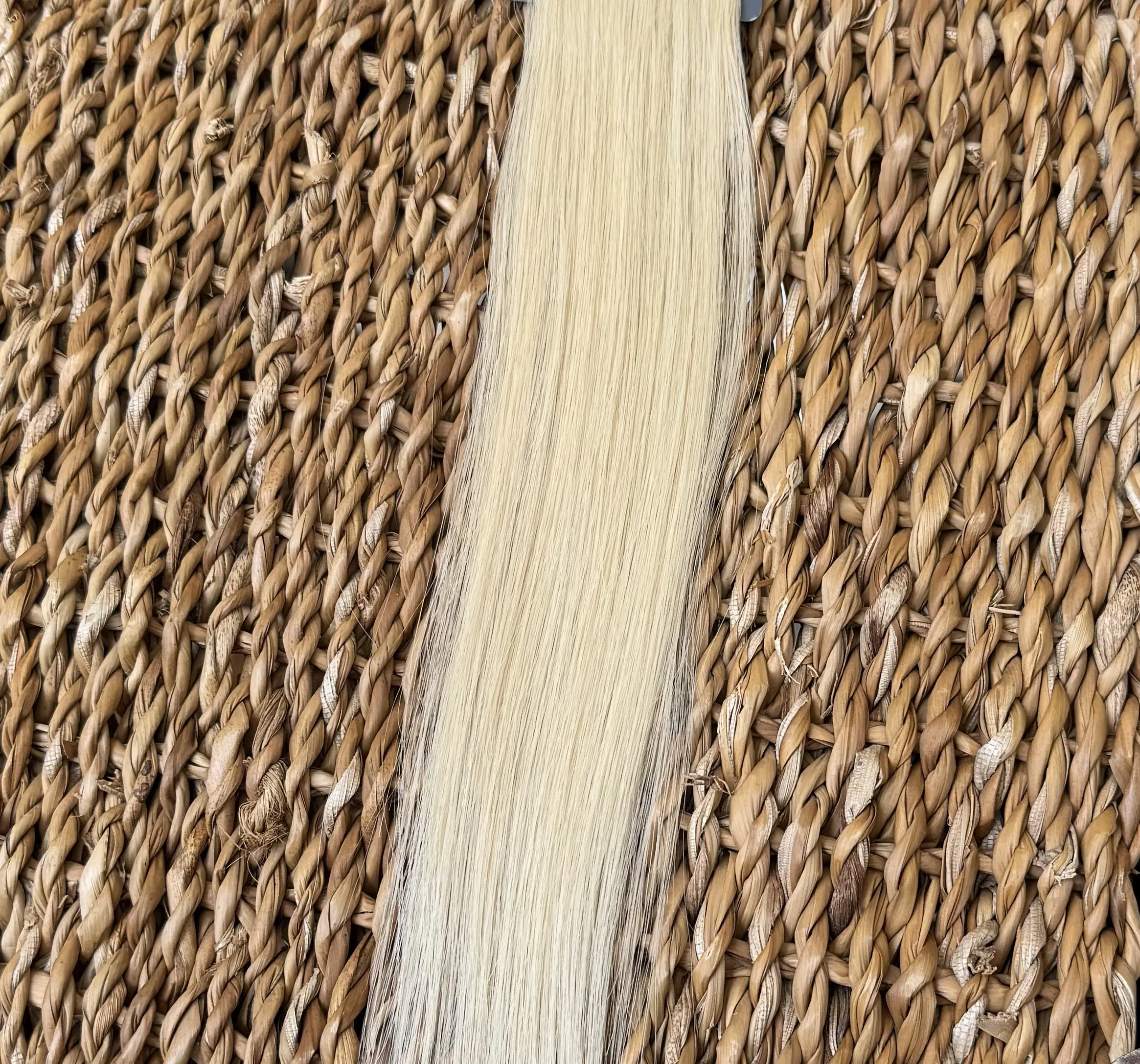 Wheat Blonde